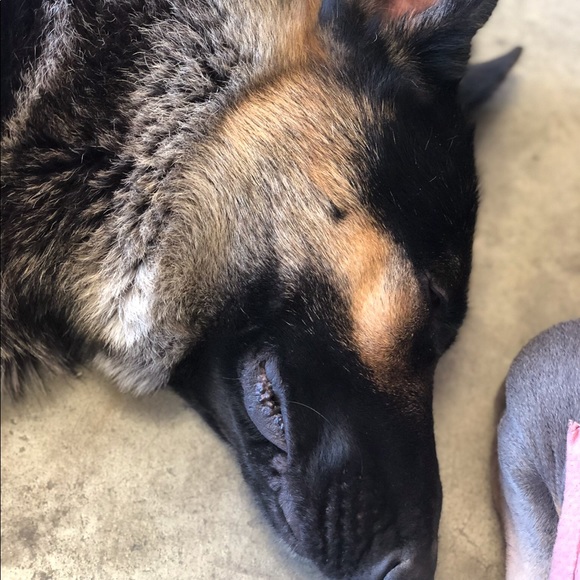 Meet your Posher, Rushit - Picture 1 of 1